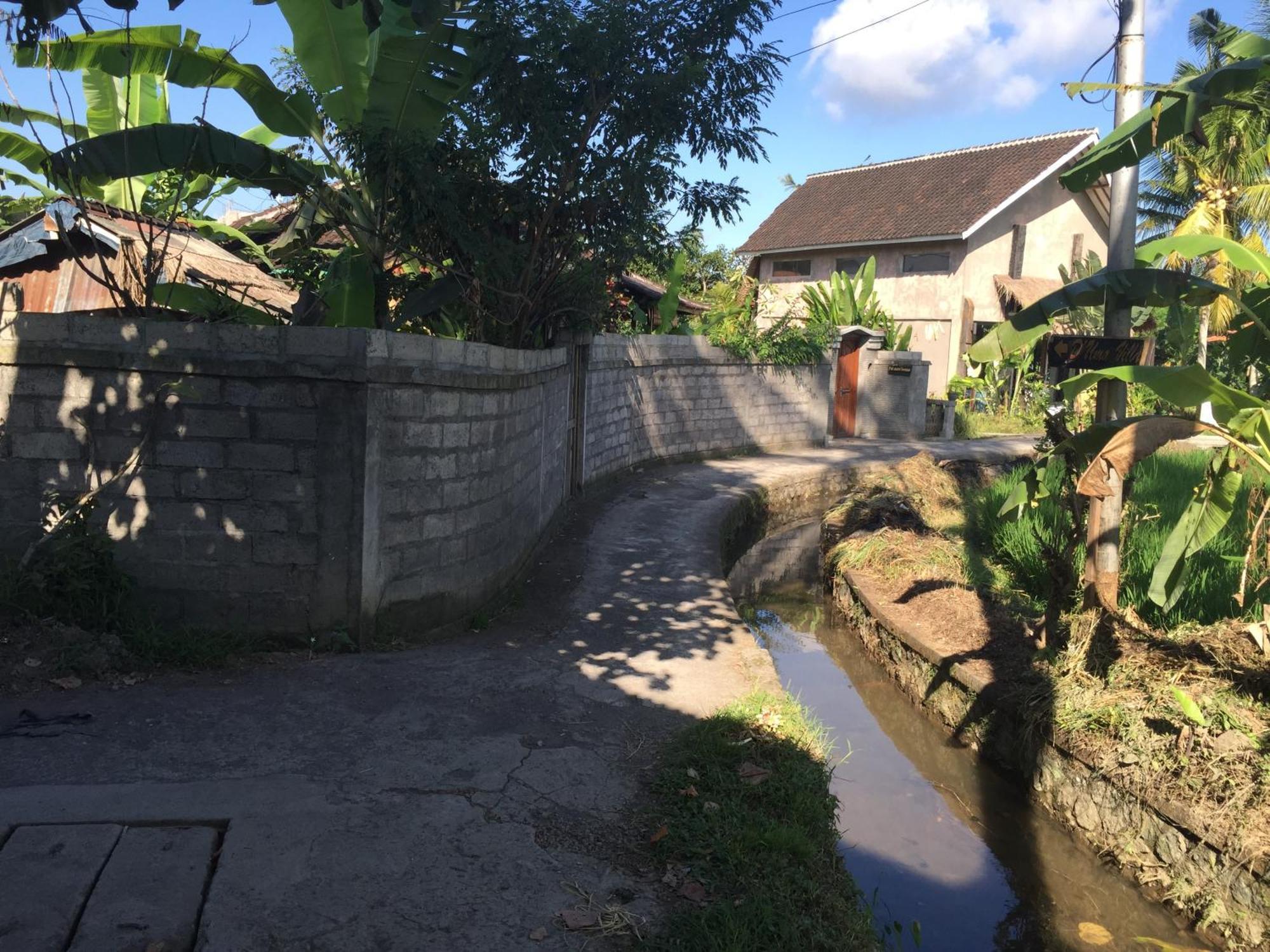 Ratna Villa Ubud Pokoj fotografie
