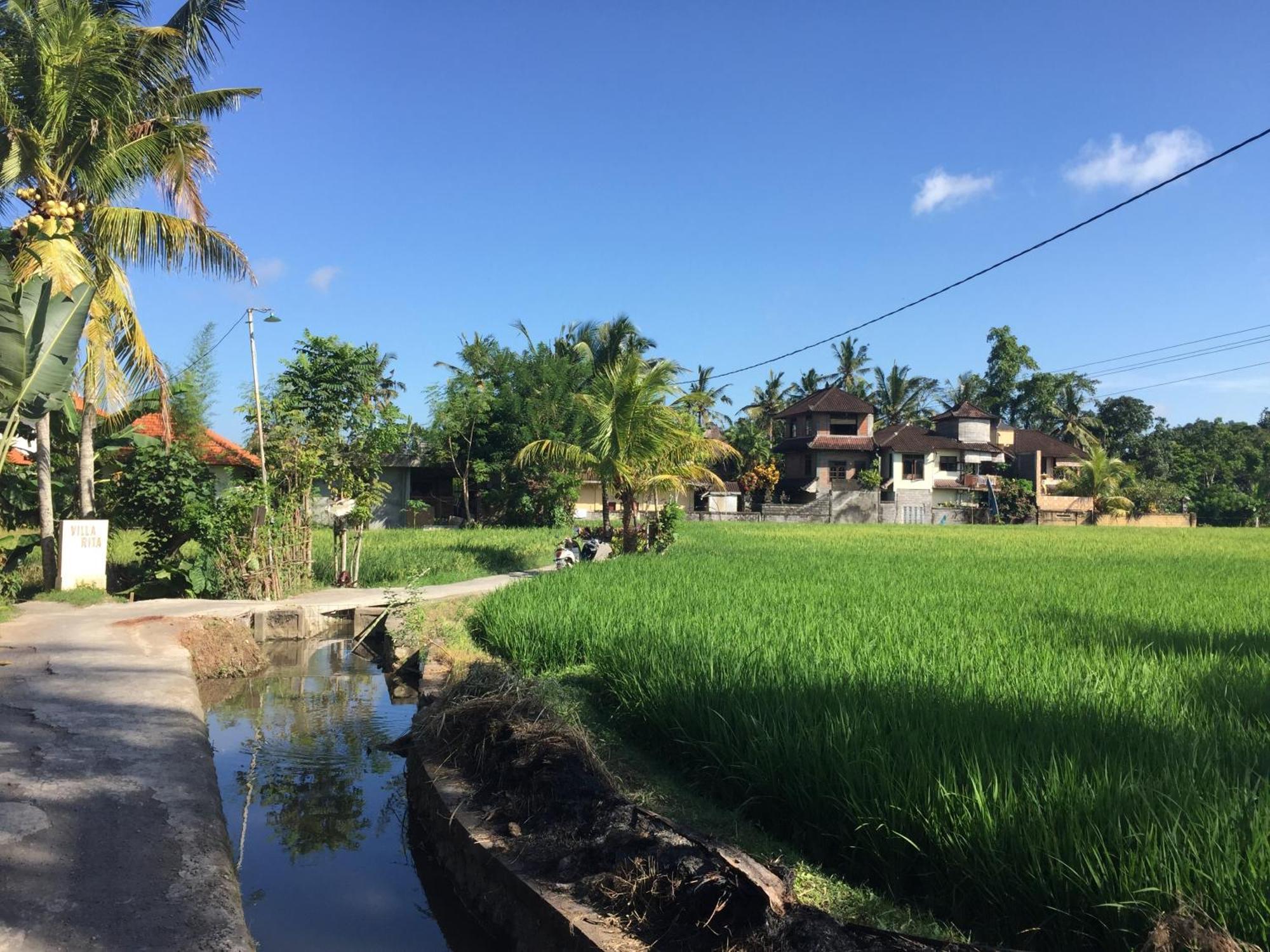 Ratna Villa Ubud Pokoj fotografie